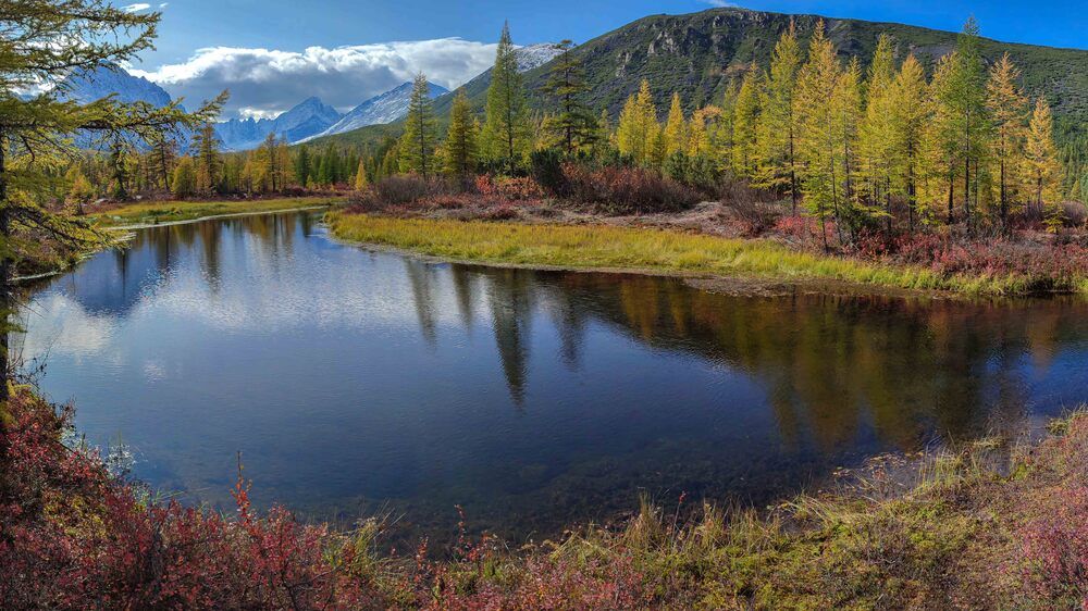 Фотография автора Александр Довганюк