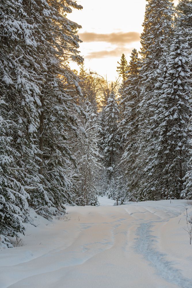 Photograph by Альварис Сукманюк