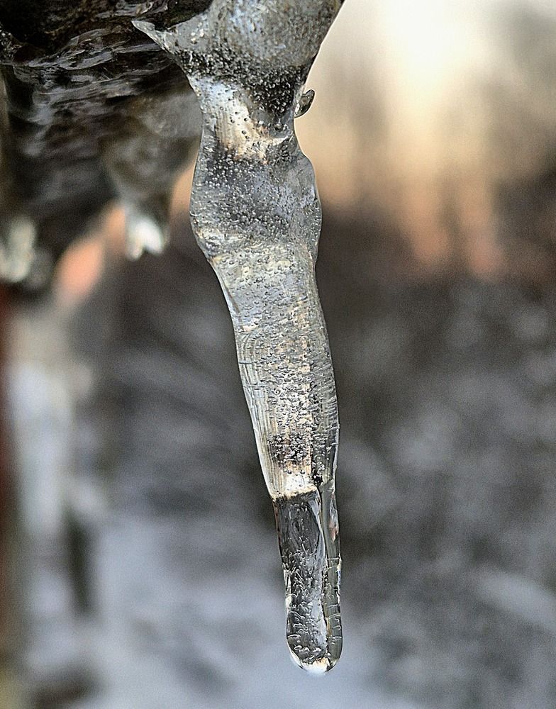 Photograph by Сергей Петров