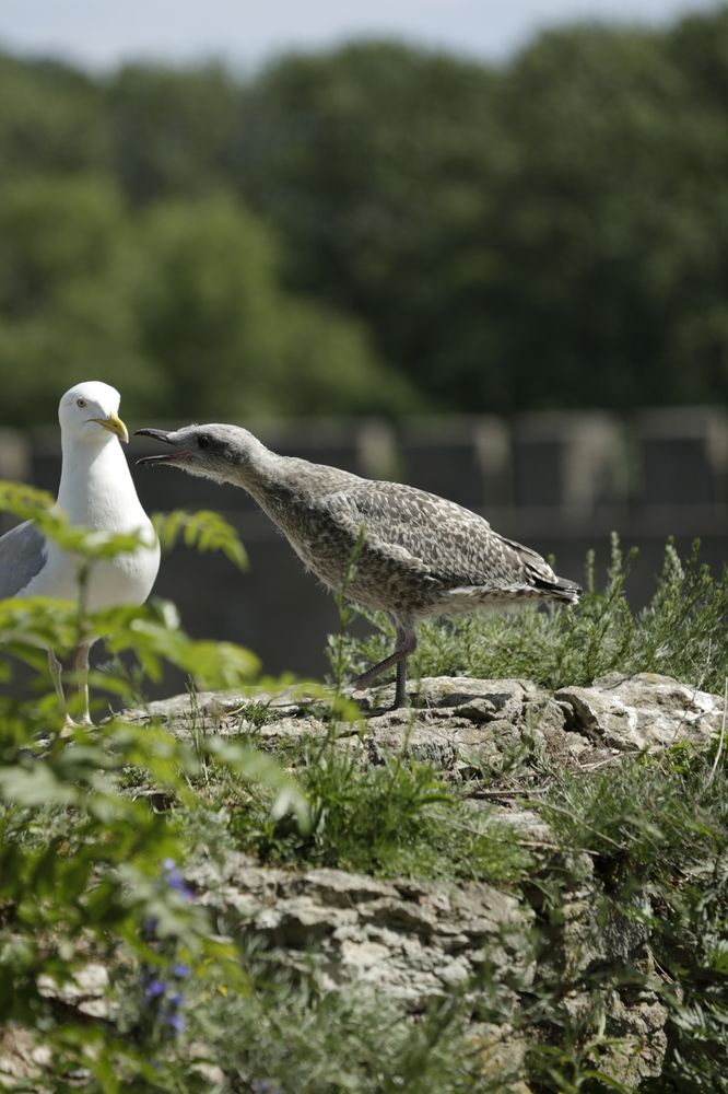 Photograph by Oksana Shchegolkova