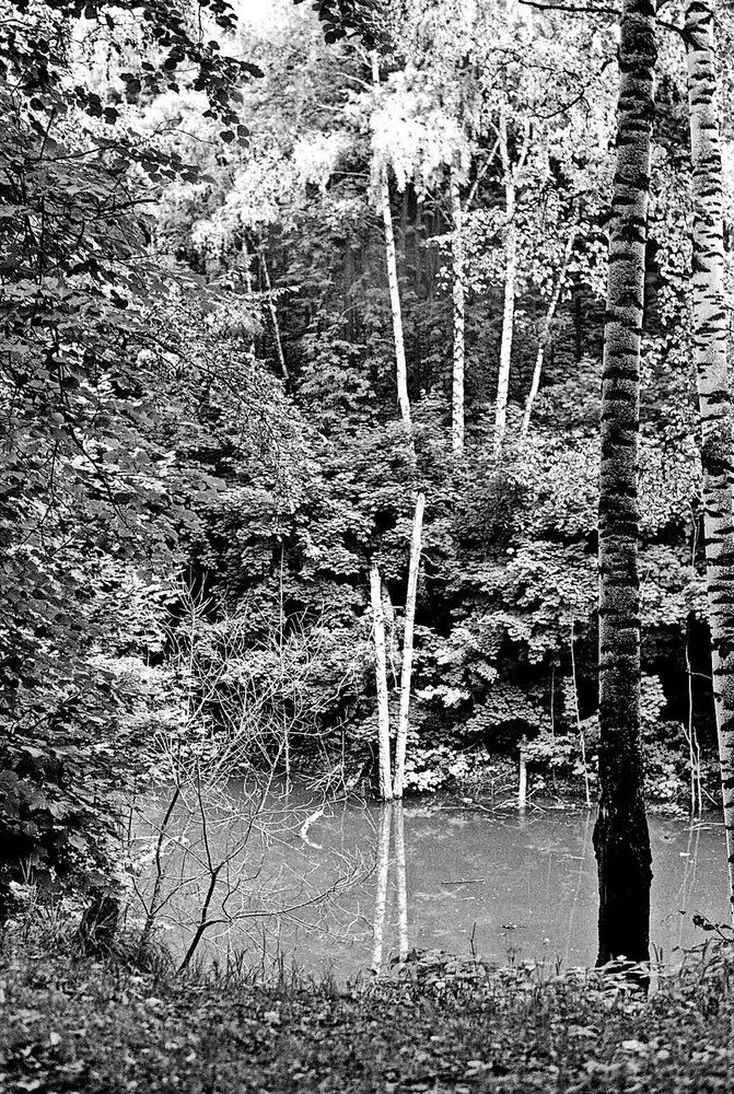 Photograph by Игорь Пшеничников