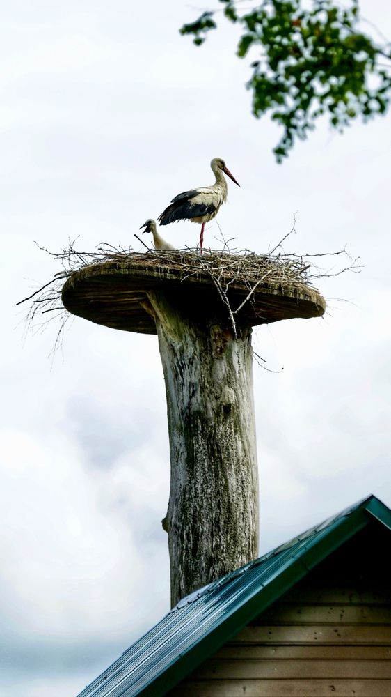 Photograph by Oksana Shchegolkova