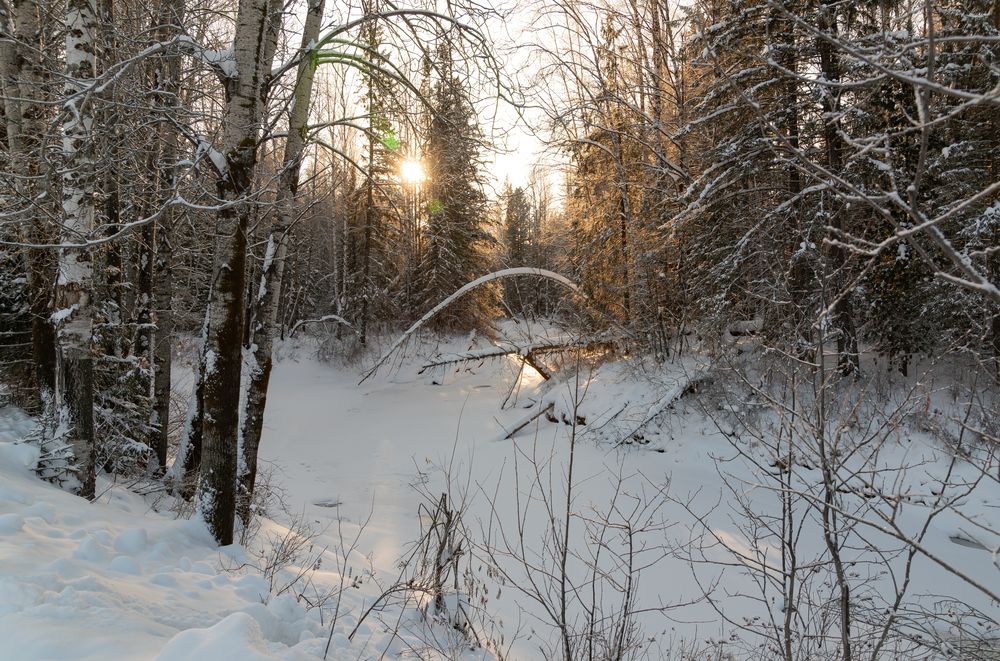 Photograph by Альварис Сукманюк