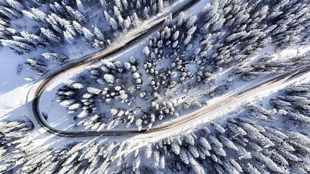 Photograph by Georgi Nanchev