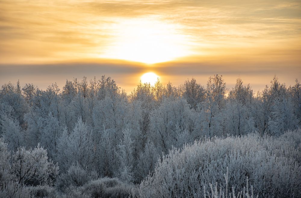 Photograph by Альварис Сукманюк