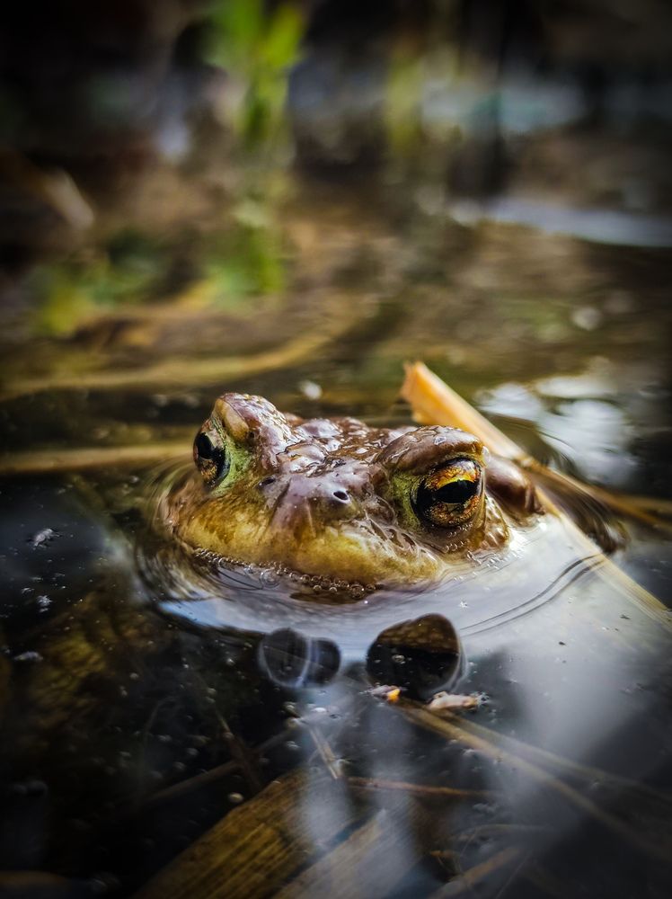 Photograph by Сергей Петров