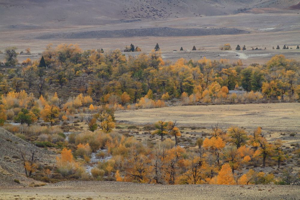 Горный Алтай.