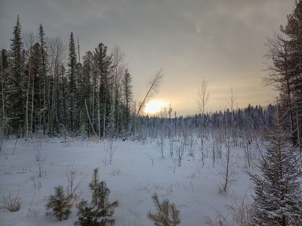 Photograph by Альварис Сукманюк