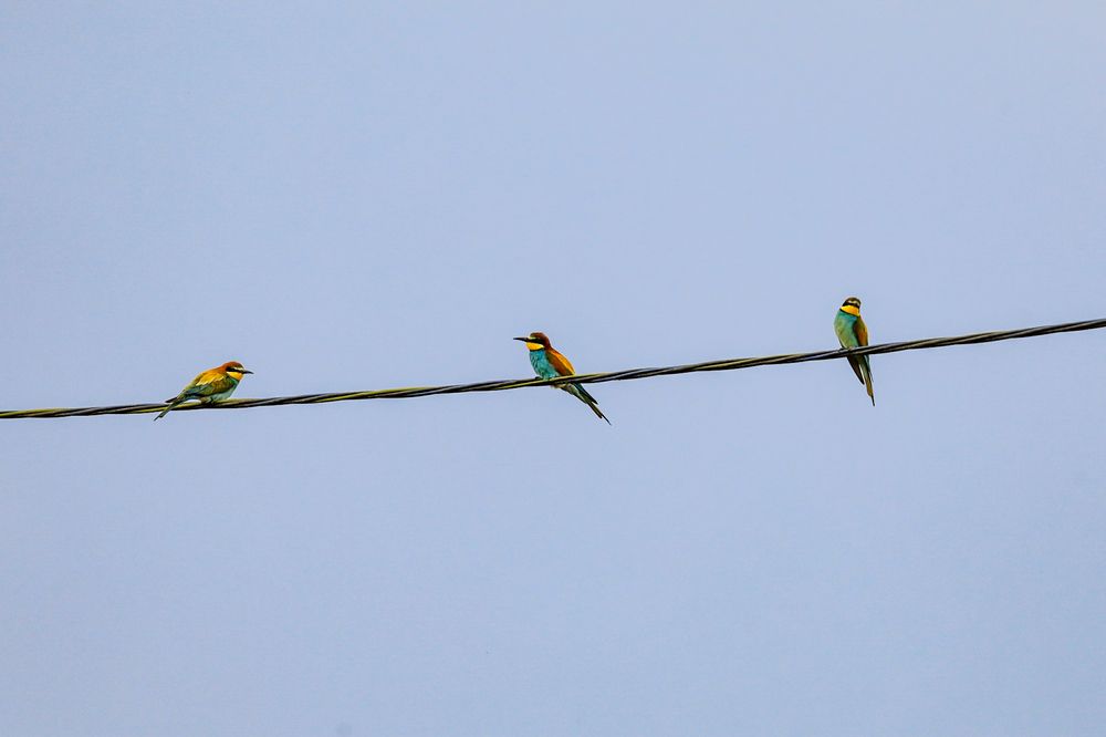 Photograph by Сергей Конюшенко