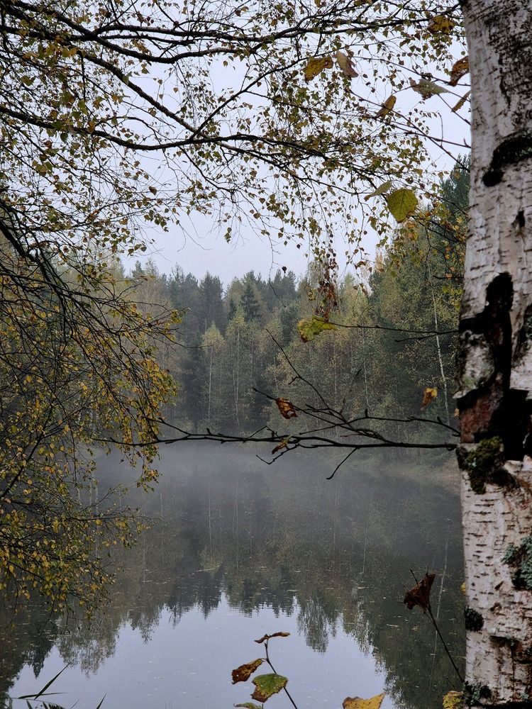 Photograph by Сергей Петров