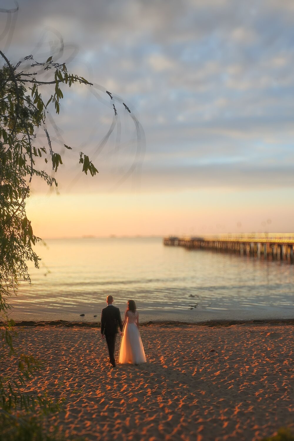 Photo #11794668
