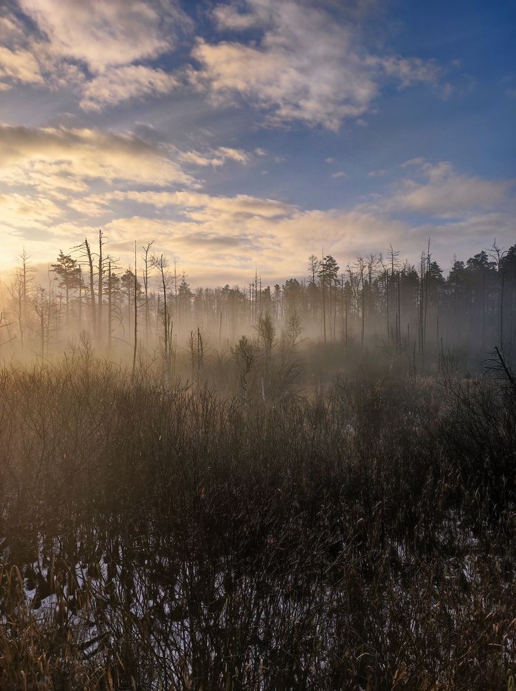 Photograph by Сергей Петров