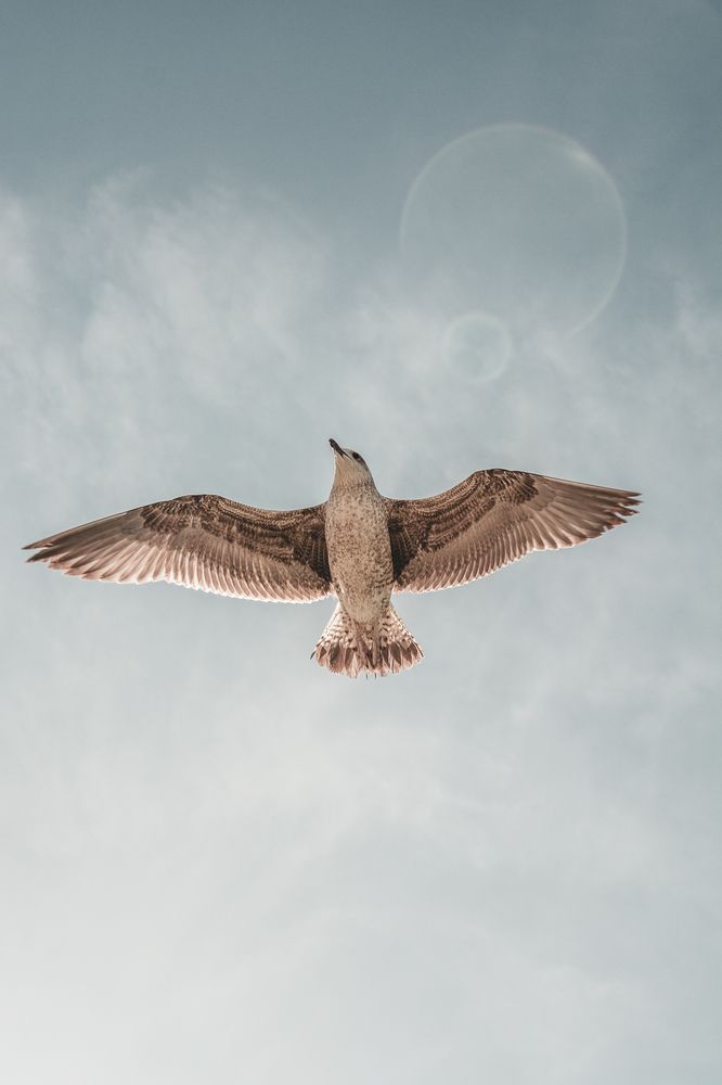 Фотография автора Zorica Nikov