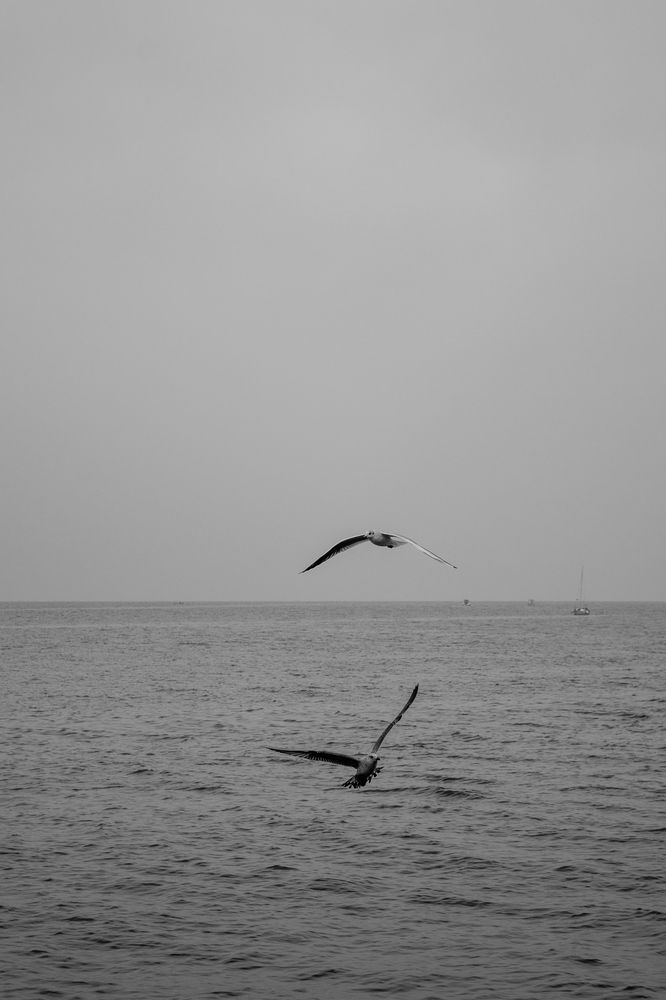 Фотография автора Zorica Nikov