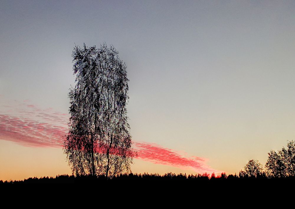 Photograph by Светлана Попкова