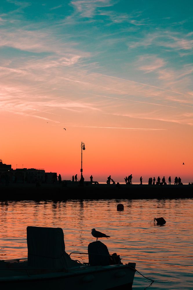 Фотография автора Zorica Nikov