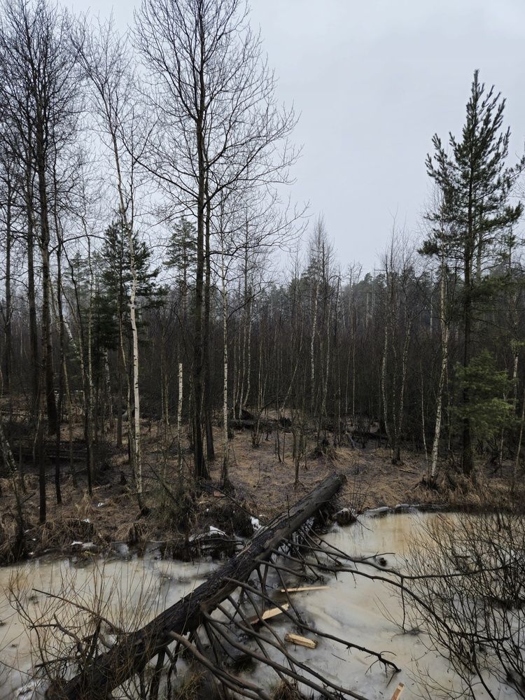 Photograph by Сергей Петров