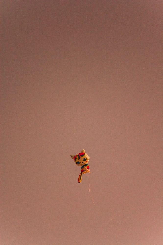 Фотография автора Zorica Nikov