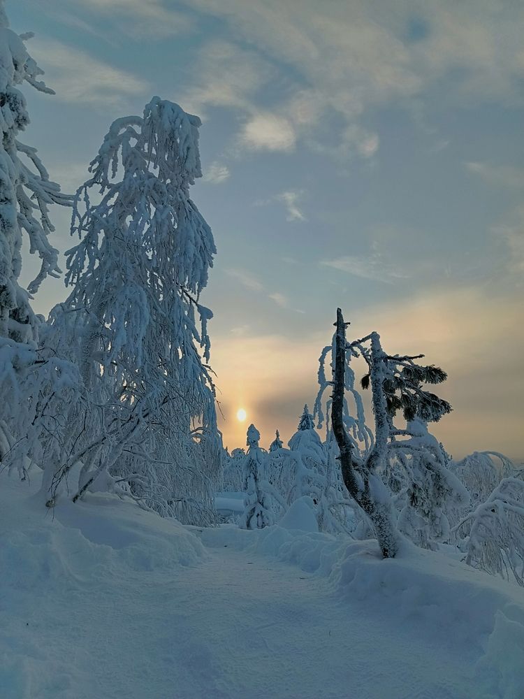 Photograph by Сергей Шевырин