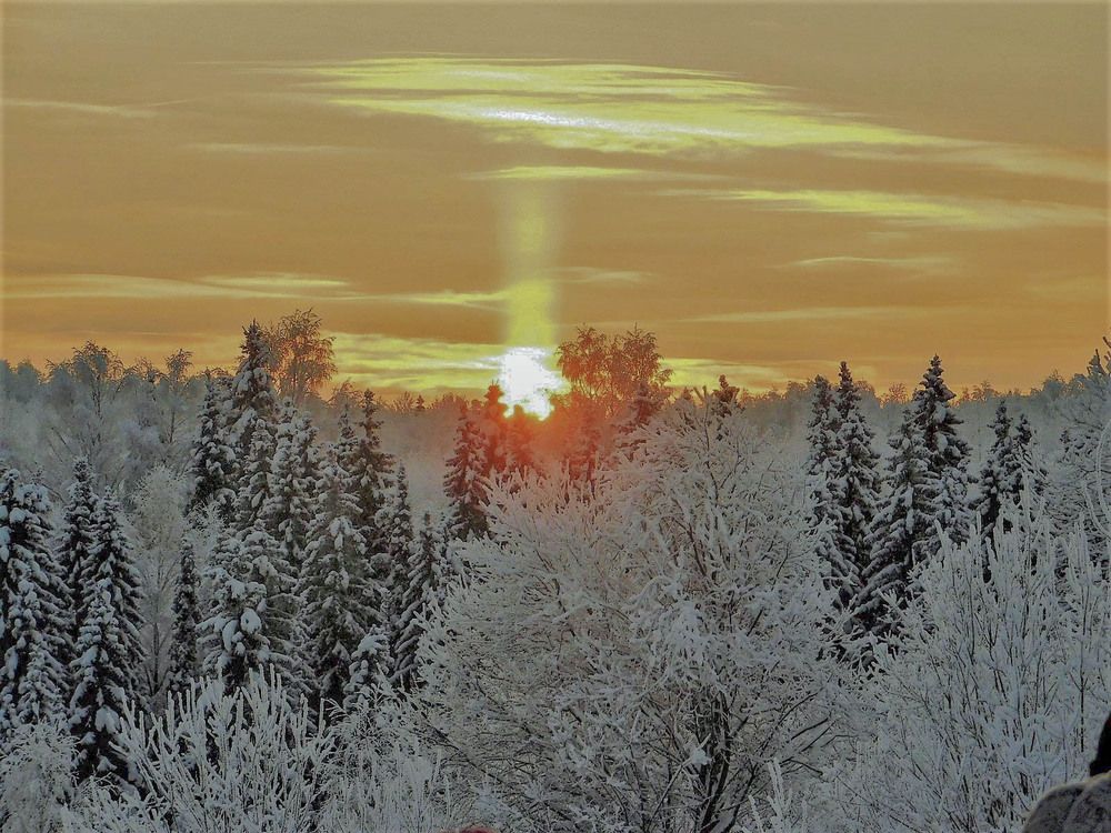 Photograph by Татьяна Ижмукова