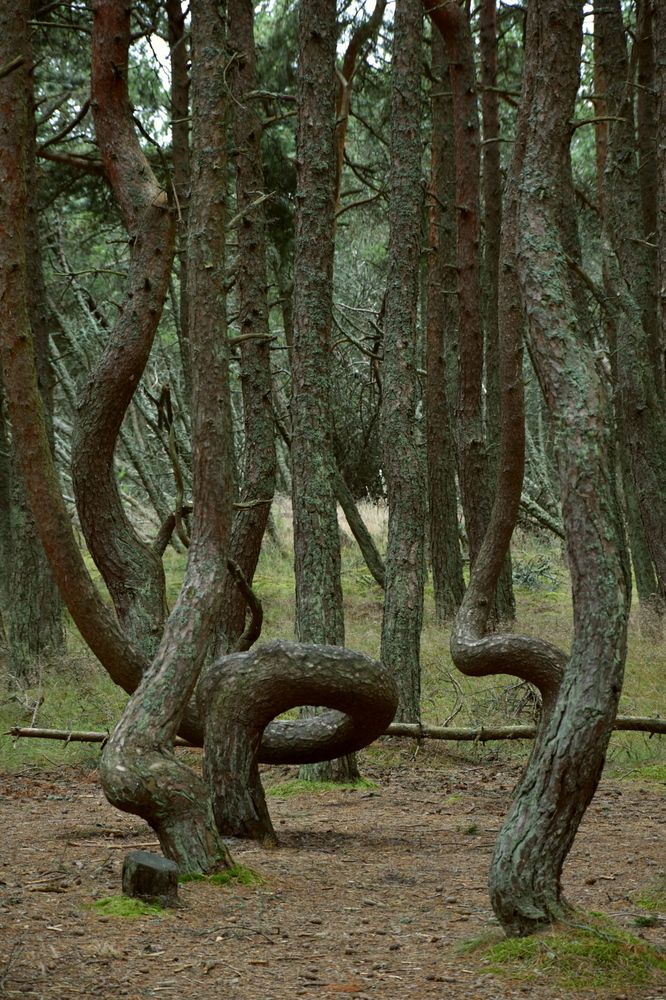 Photograph by Ирина Алексеева