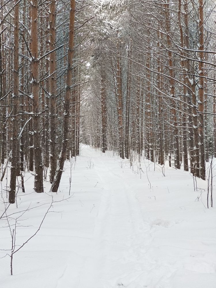 Photograph by Сергей Шевырин