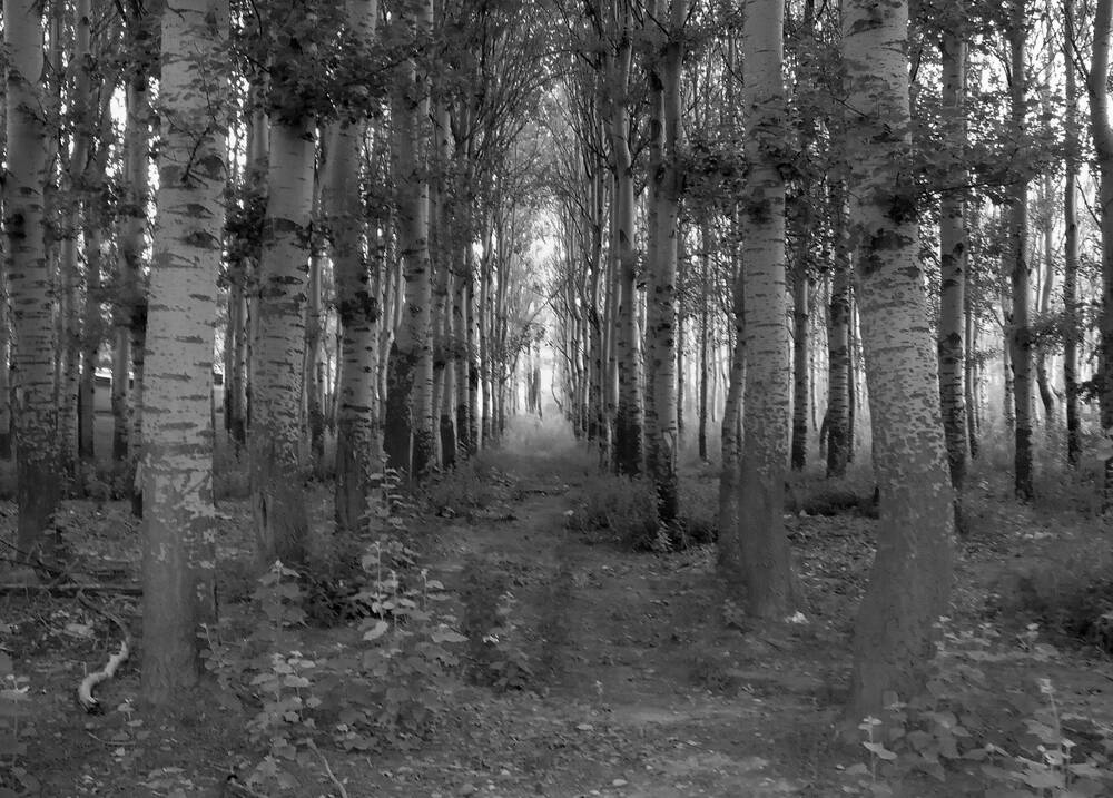 Фотография автора Jorge Martinez