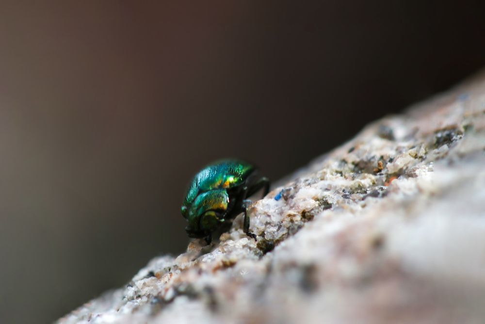 Photograph by Светлана Попкова