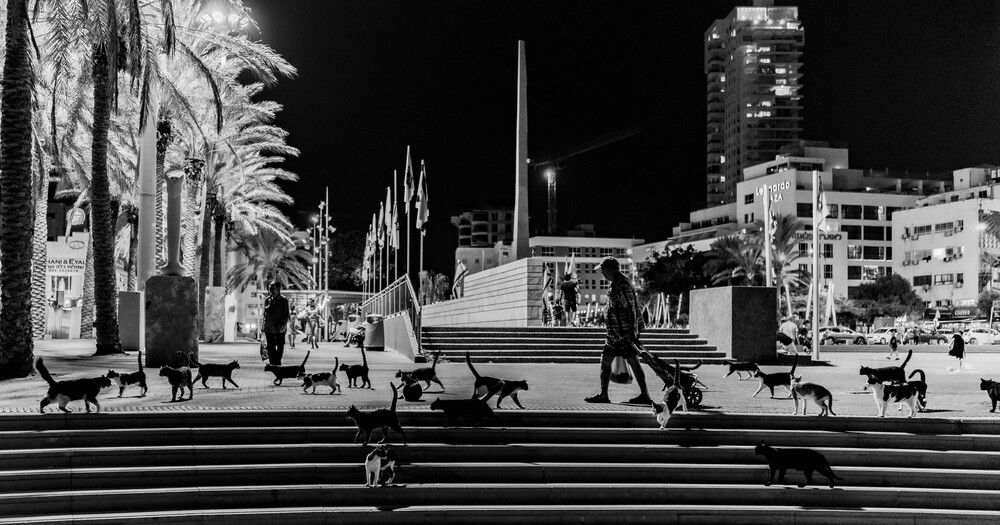 Photograph by Igor Shulkin