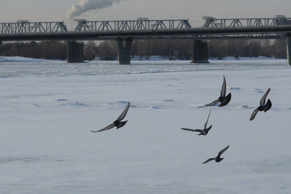 Зимой в городе