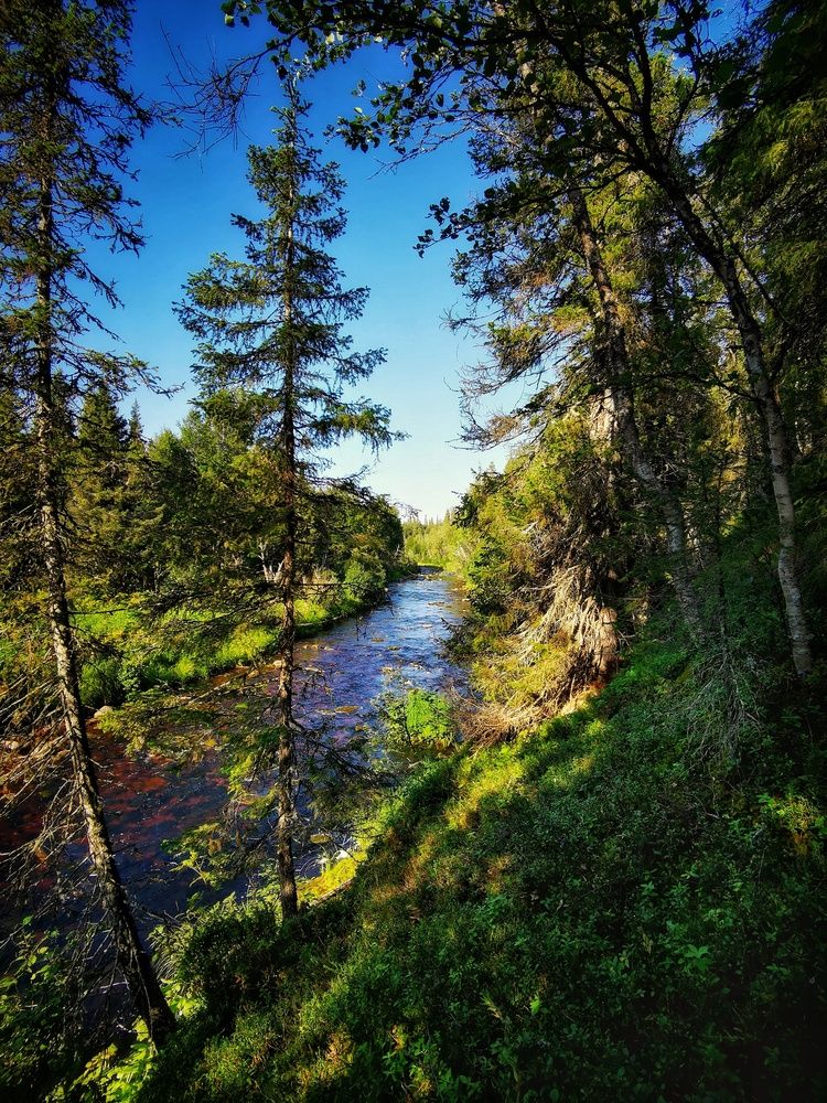 Photograph by Елена Артёменко