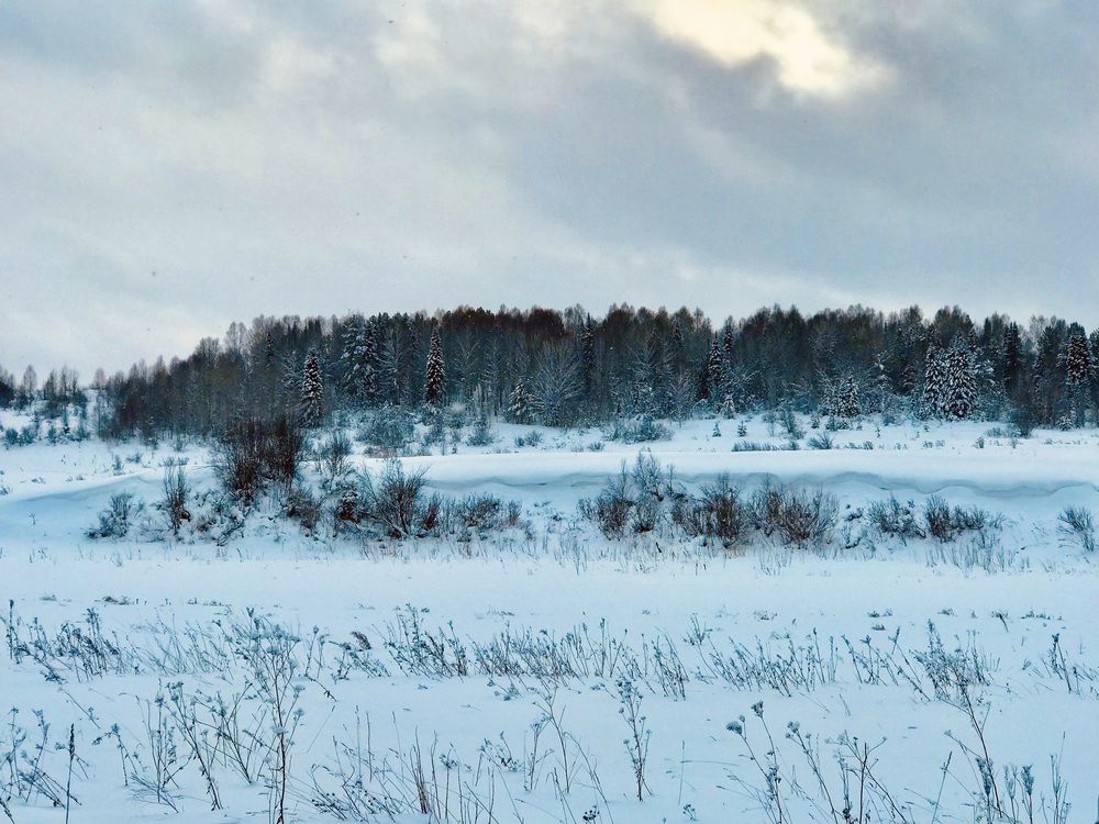 Photograph by Татьяна Шитлина