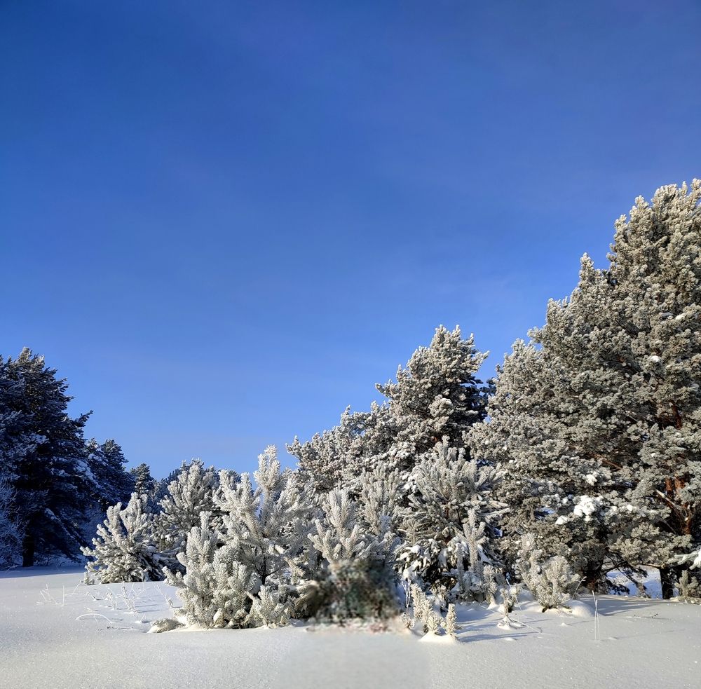 Photograph by Наталья Смирнова