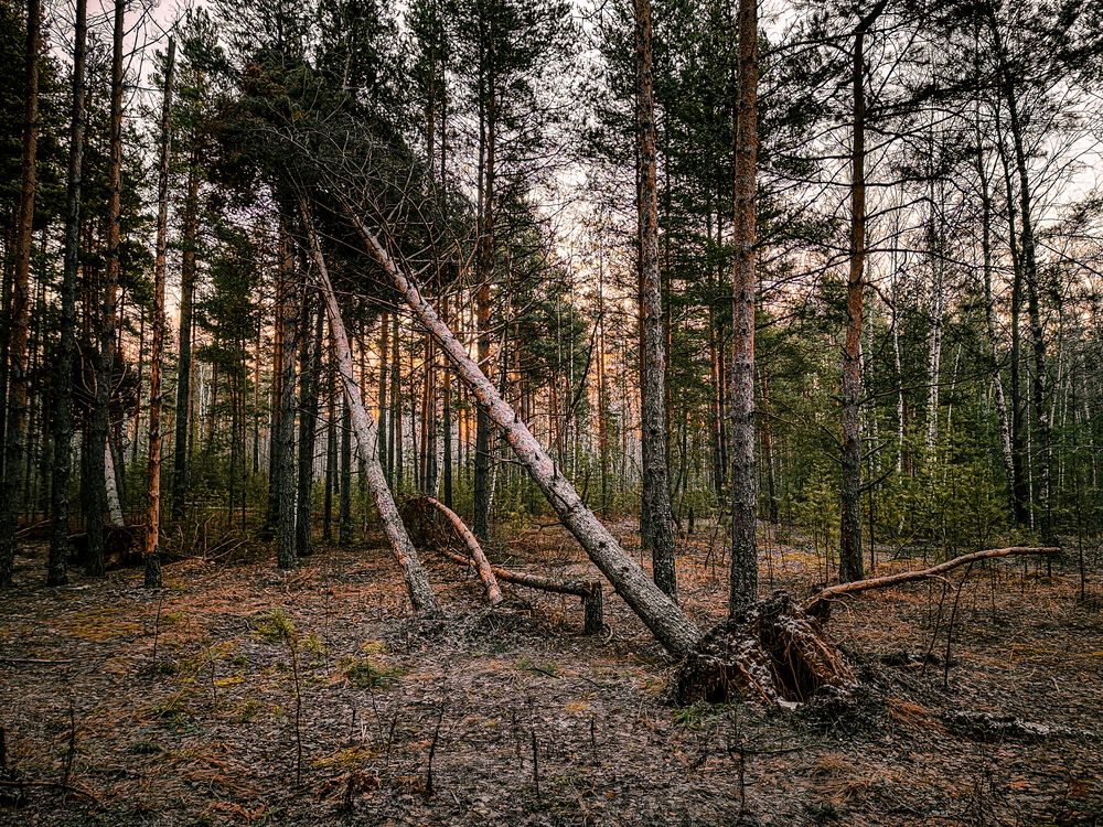 Фотография автора Александр Хухлов