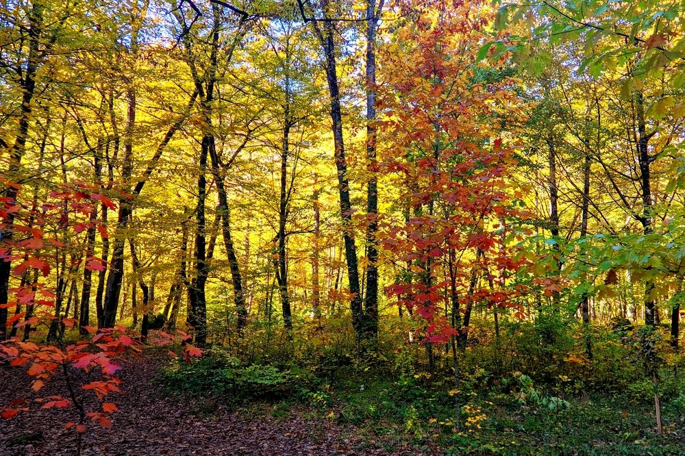 Фотография автора Андрей Павловский