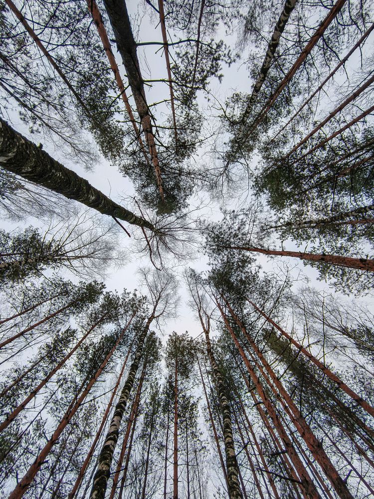 Фотография автора Александр Хухлов