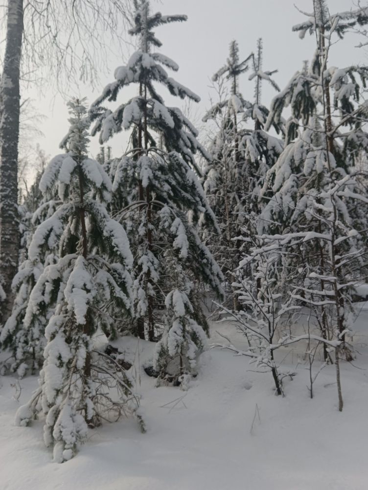 Photograph by Наташа Баукова