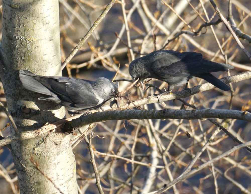 Photograph by Михаил Трусов