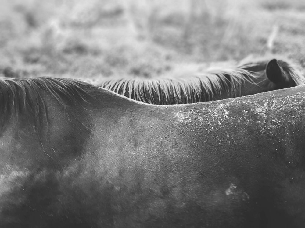 Photograph by adriana menez