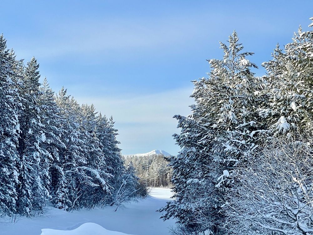 Photograph by Светлана Хохлова