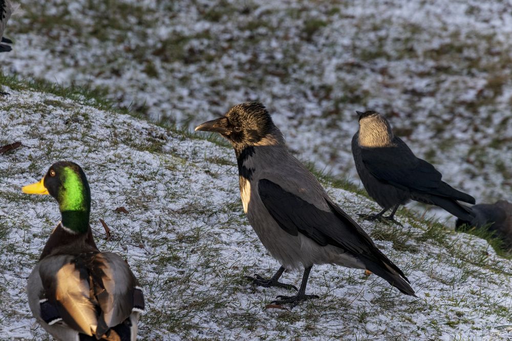 Photograph by Лилия Кондратьева