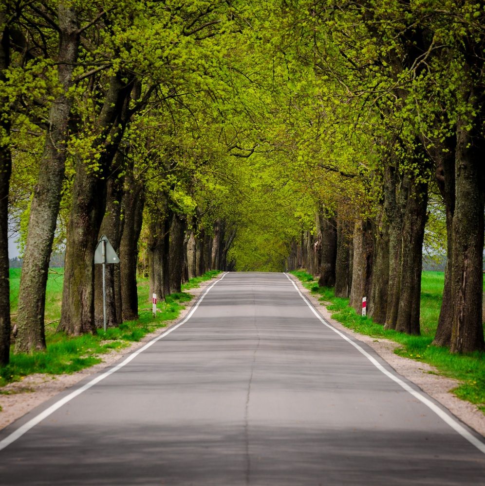 Photograph by Alexey S