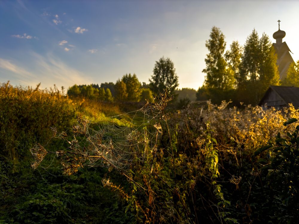 Photograph by Ершов Сергей