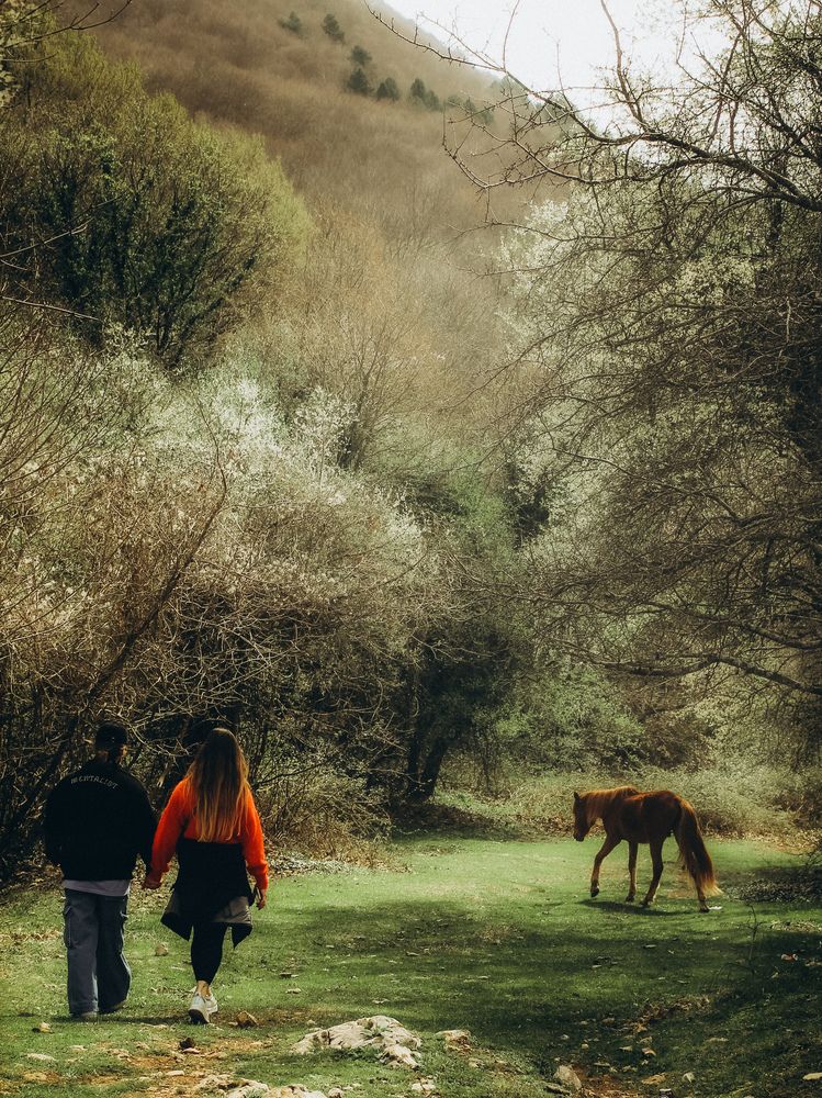 Photograph by Iryna Shyshkina