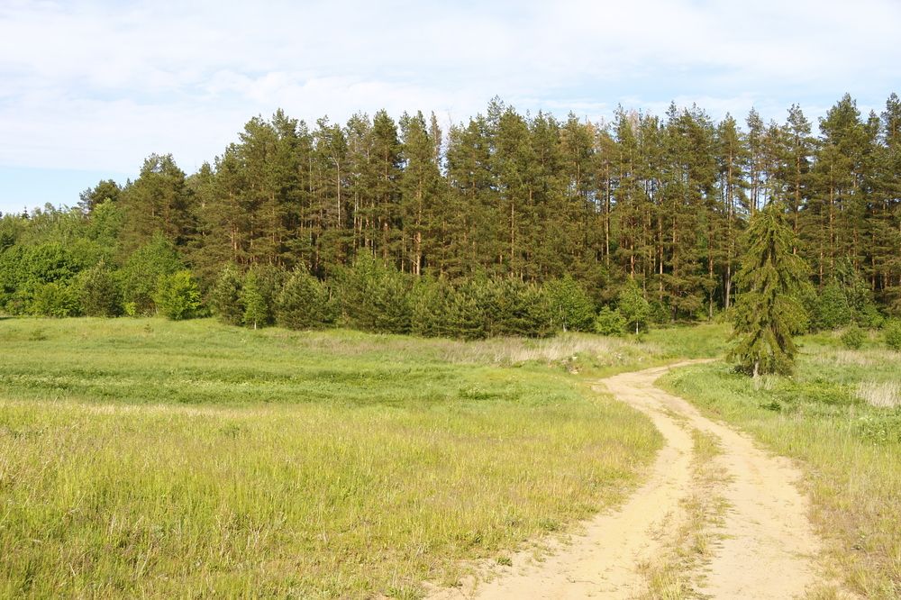 Photograph by Дмитрий Поляков