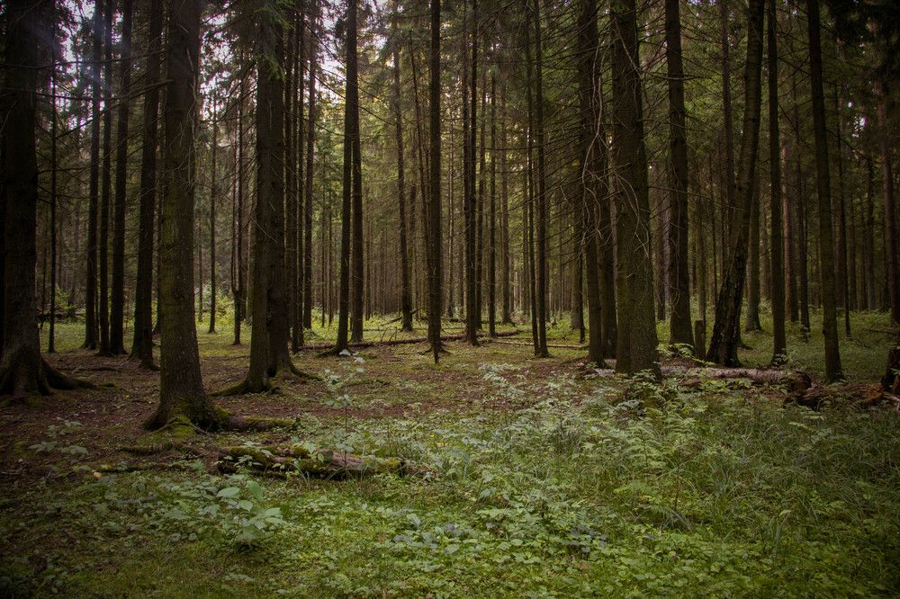 Photograph by Ксения Щукина