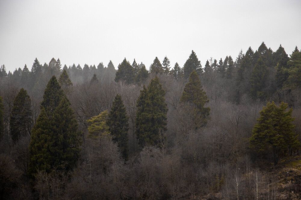 Photograph by Ксения Щукина