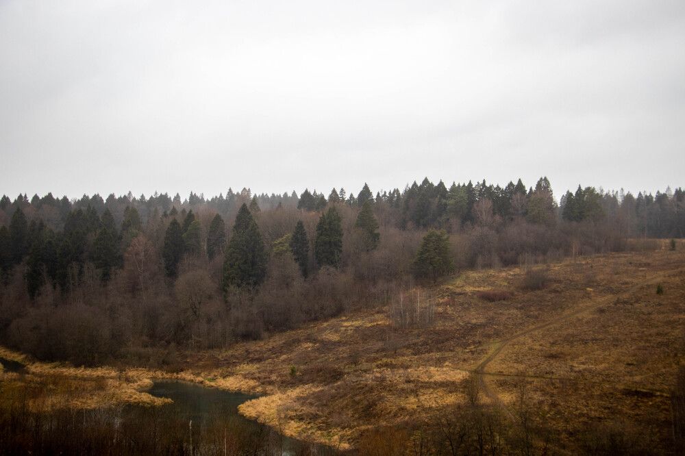 Photograph by Ксения Щукина