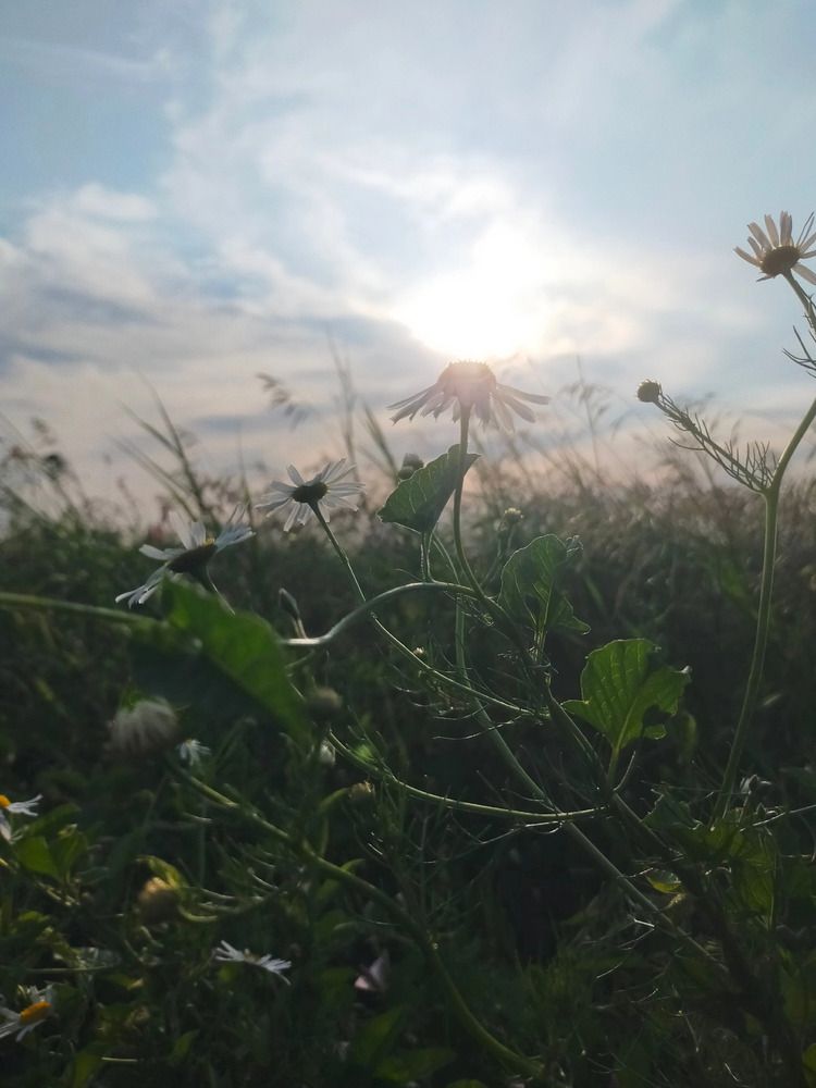 Photograph by Оксана Макарова