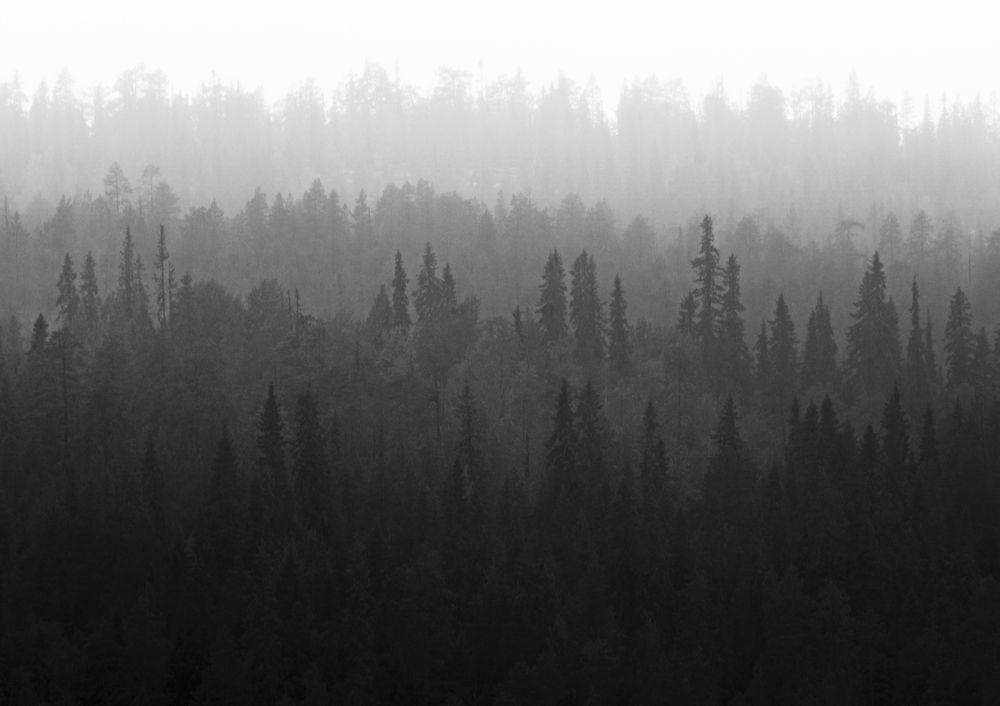 Photograph by Рыжков Роман